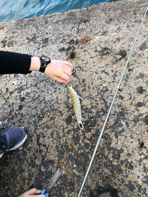 9 釣りジョの沖縄釣行